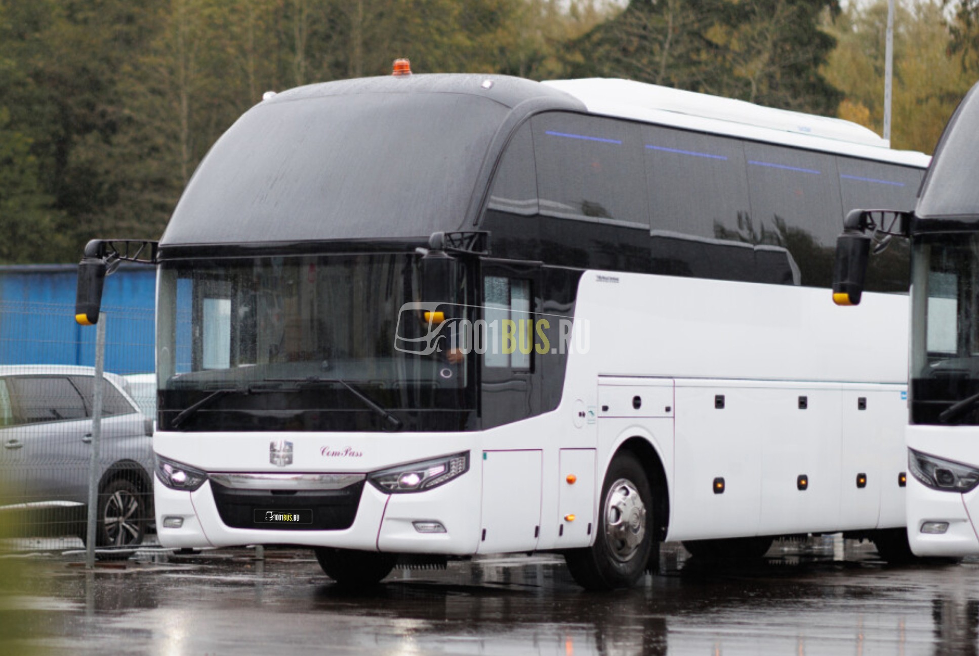 Zhongtong LCK6127H (белый, 53 места)