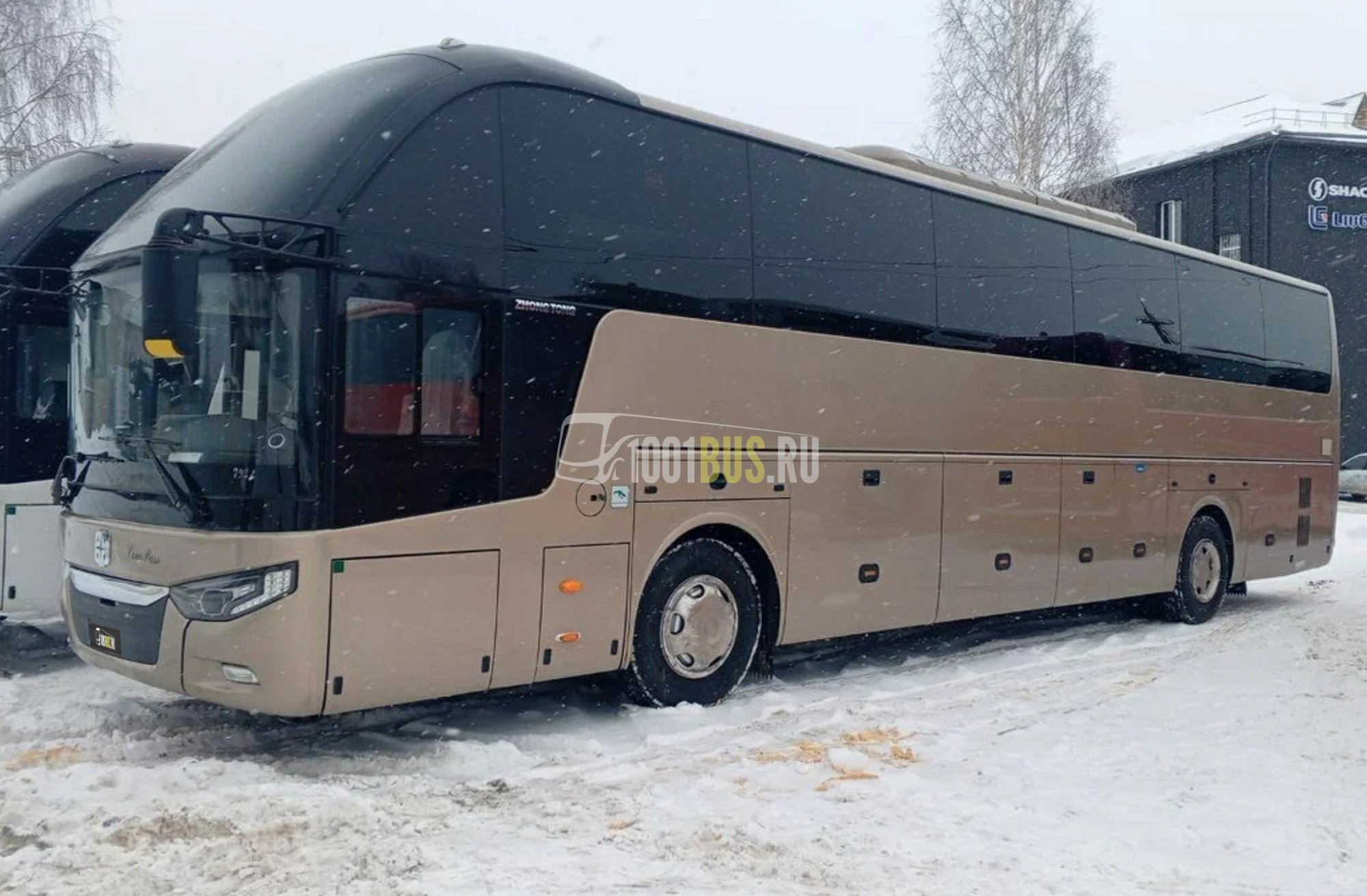 Zhongtong LCK6127H (бежевый, 55 мест)