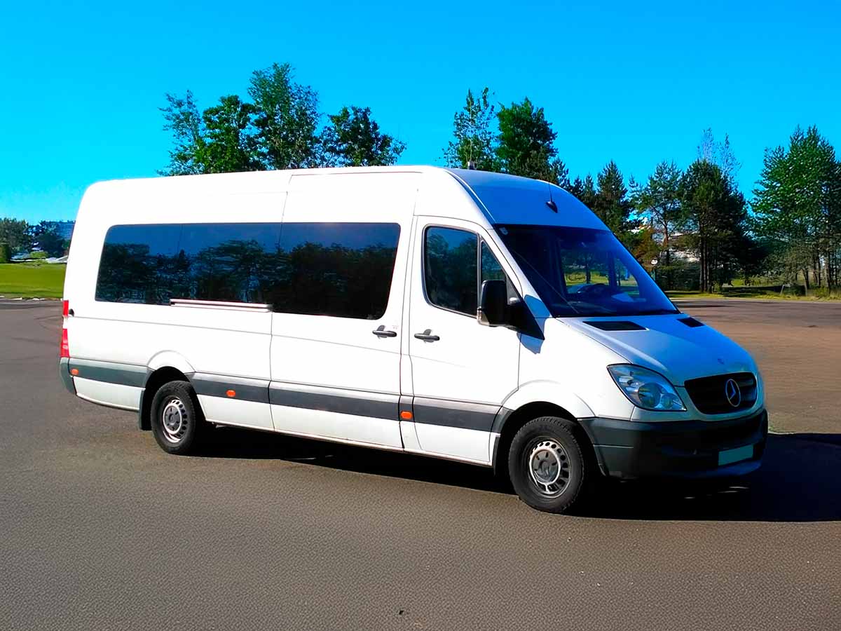 Mercedes Sprinter 313